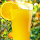 Glass of Earl Grey Orangeade against backdrop of orange grove